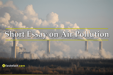 Short Essay on Air Pollution for Students