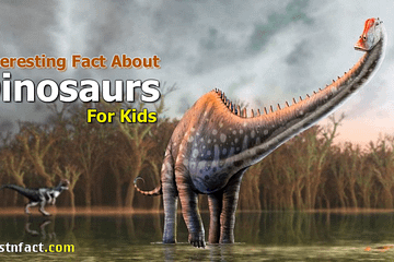 Interesting Dinosaurs Facts for Kids