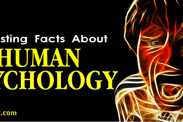 Interesting Facts About Human Psychology