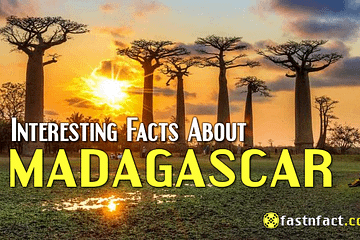 Interesting Facts About Madagascar
