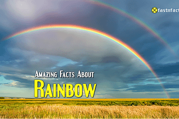 Amazing Facts About Rainbow