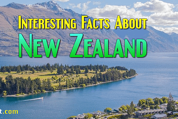 Interesting Facts About New Zealand