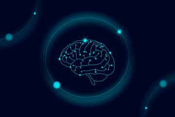 Human brain animation picture