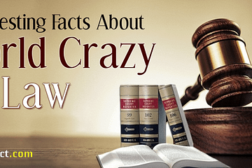 Interesting Facts About Crazy Laws
