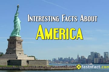 Interesting Facts About America