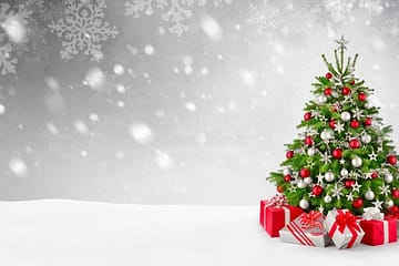 Interesting Facts About Christmas