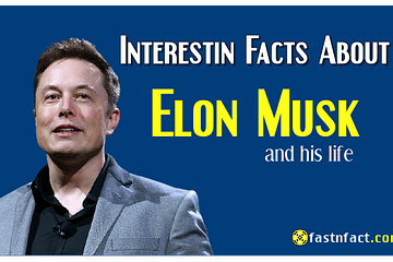 Interesting Facts About Elon Musk and His Life